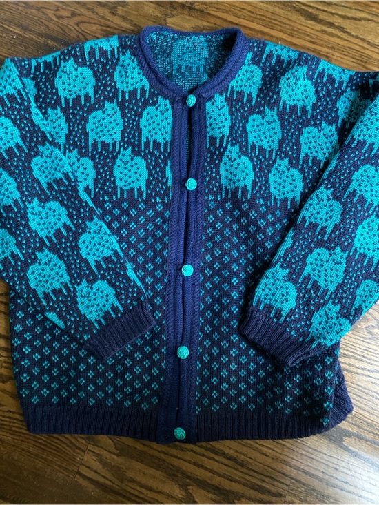 Vintage Sweaters - Vintage Halling Norway Norwegian Teal and Navy Patterned Cardigan Sweater